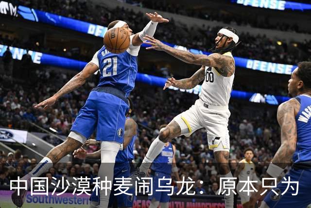 中国沙漠种麦闹乌龙：原本只为“保粮仓”增产，却意外发现金黄麦浪成治沙神器，彻底改变治沙思路？